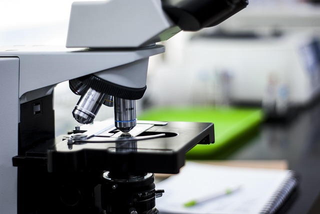 優(yōu)化聚氨酯網(wǎng)絡(luò)交聯(lián)：強凝膠型聚氨酯催化劑促進高交聯(lián)度，提升材料的耐溶劑性和耐熱性