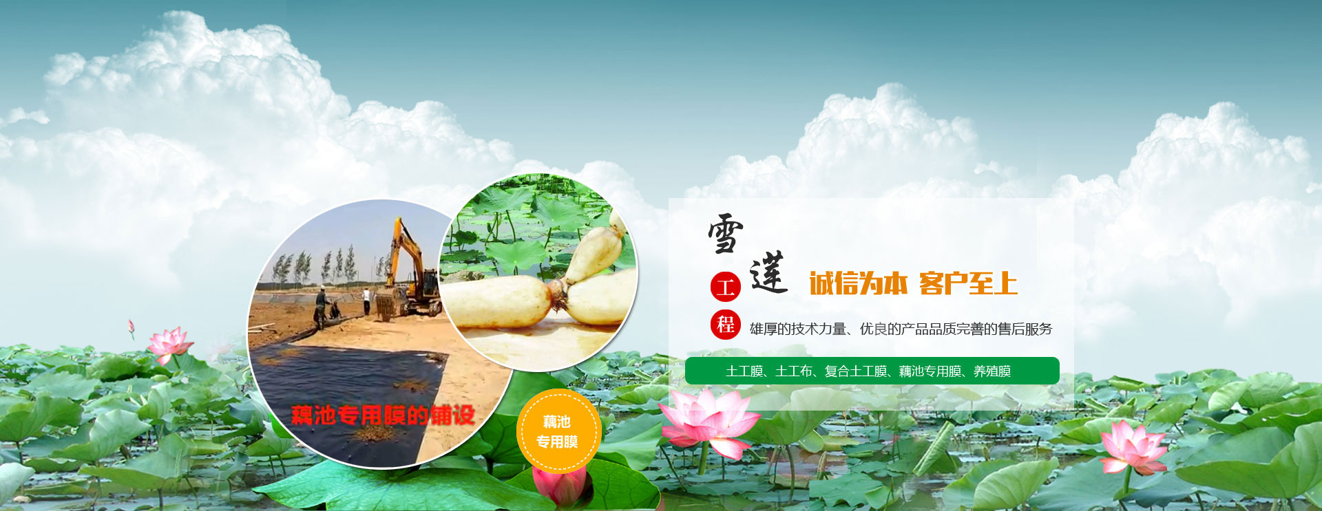 應(yīng)用于反應(yīng)型聚氨酯熱熔膠：熱敏型胺類(lèi)聚氨酯催化劑，實(shí)現(xiàn)加熱下的快速粘結(jié)和高強(qiáng)度