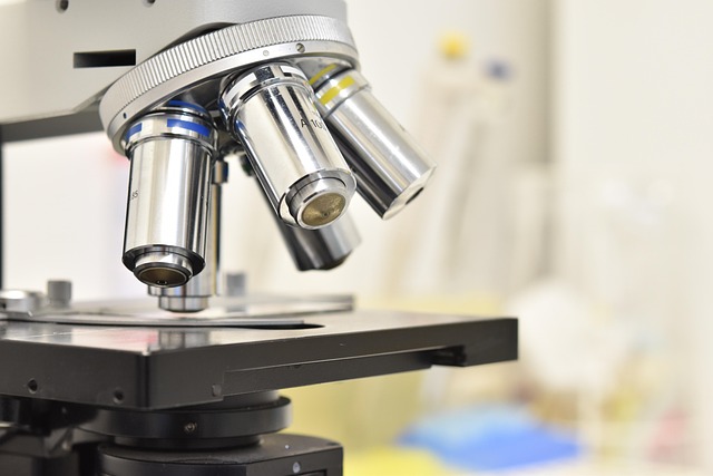 低VOC低氣味配方支持：環(huán)保型平衡型復(fù)合催化劑，助力生產(chǎn)滿足新環(huán)保法規(guī)的聚氨酯產(chǎn)品