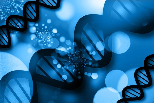 優(yōu)化泡沫結(jié)構(gòu)與性能：平衡型復(fù)合催化劑確保泡孔均勻、開孔性佳，同時具備優(yōu)異物理強度